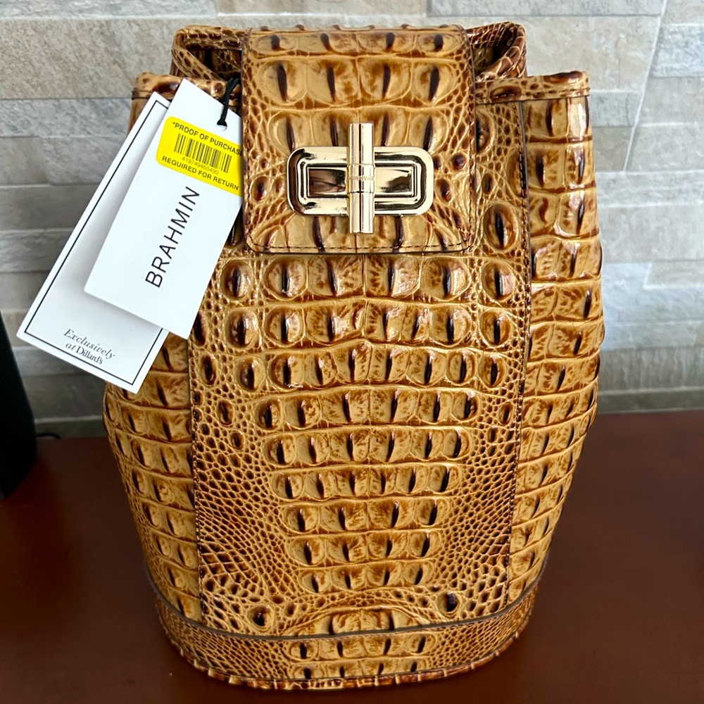 Beautiful Brahmin Bookbag